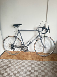 Vintage Norco Monterey Road Bike