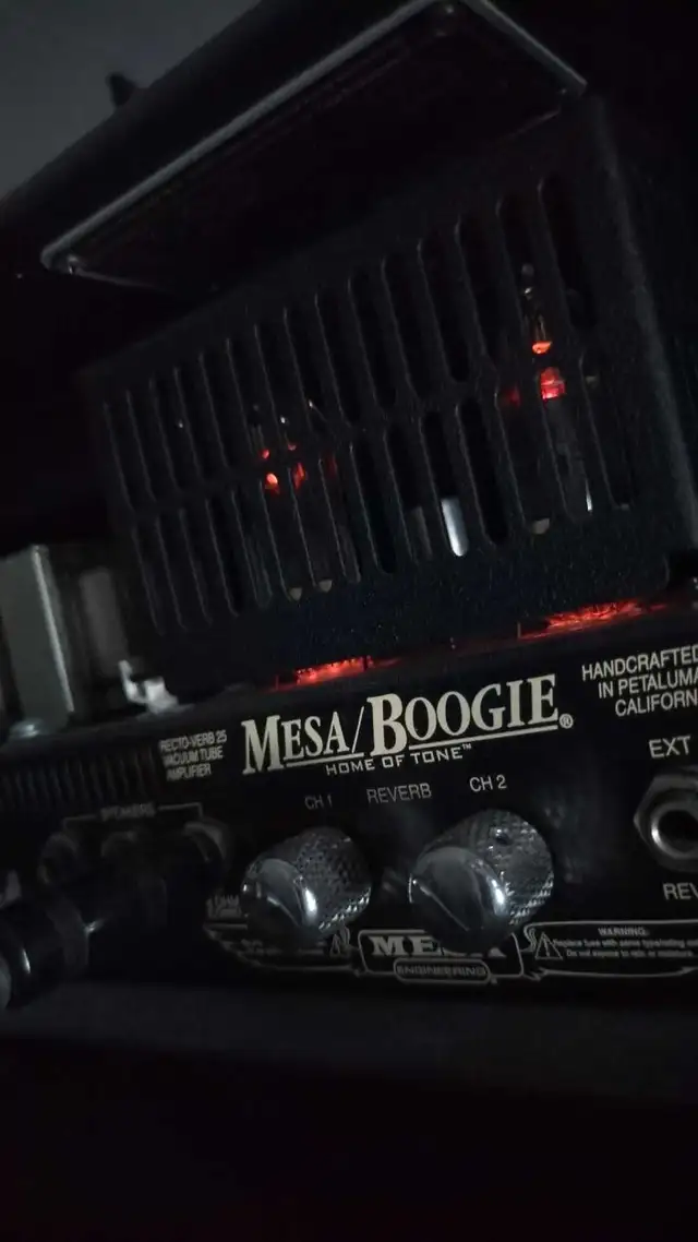 Mesa Recto-Verb 25 in Amps & Pedals in St. Catharines - Image 4