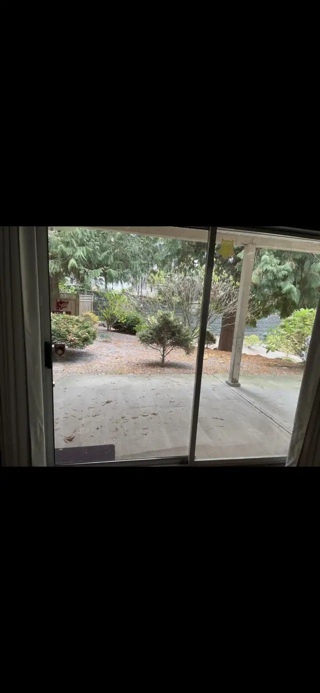 Spacious 800 sqft Bachelor / Studio Suite – $1,200 in Long Term Rentals in Abbotsford - Image 7