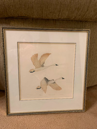LIMITED EDITION PRINT BY REITA NEVIN “WHISTLING SWANS ll “