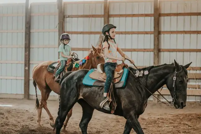 Riding lessons575594891188654081