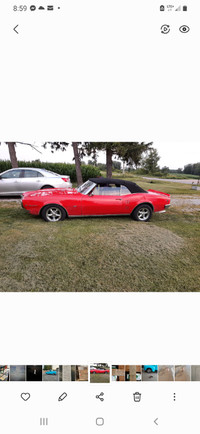 1968 firebird