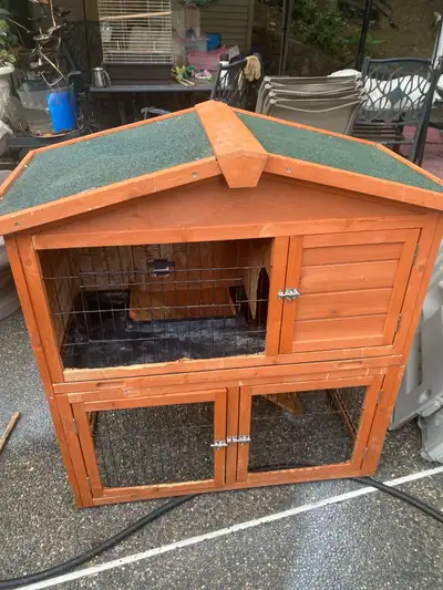 rabbit animal house , View more