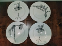 222 Fifth Botanica 4 dinner plates.