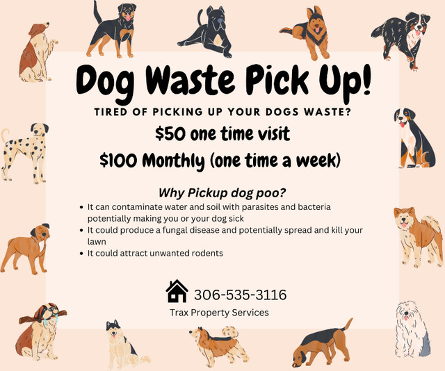 Dog Waste Pick Up! in Animal & Pet Services in Regina