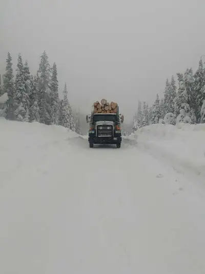 Looking for a 1995-2003 heavy spec tandem truck that has a blown motor ..i have a 1998 3406e i want...