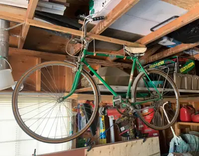 Green adult vintage town bike bought from Sears in 1975, one owner. Rode very little mostly in a gar...