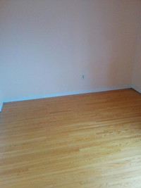 Larger room for rent in 2 bedroom apartment; short term rental