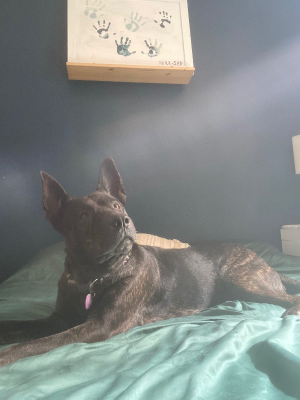 Maya 4 ans Accessoires Sherbrooke Kijiji
