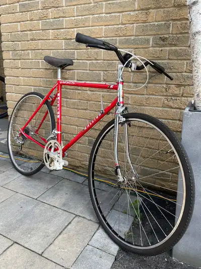 Raleigh speed bike - road bike, View more