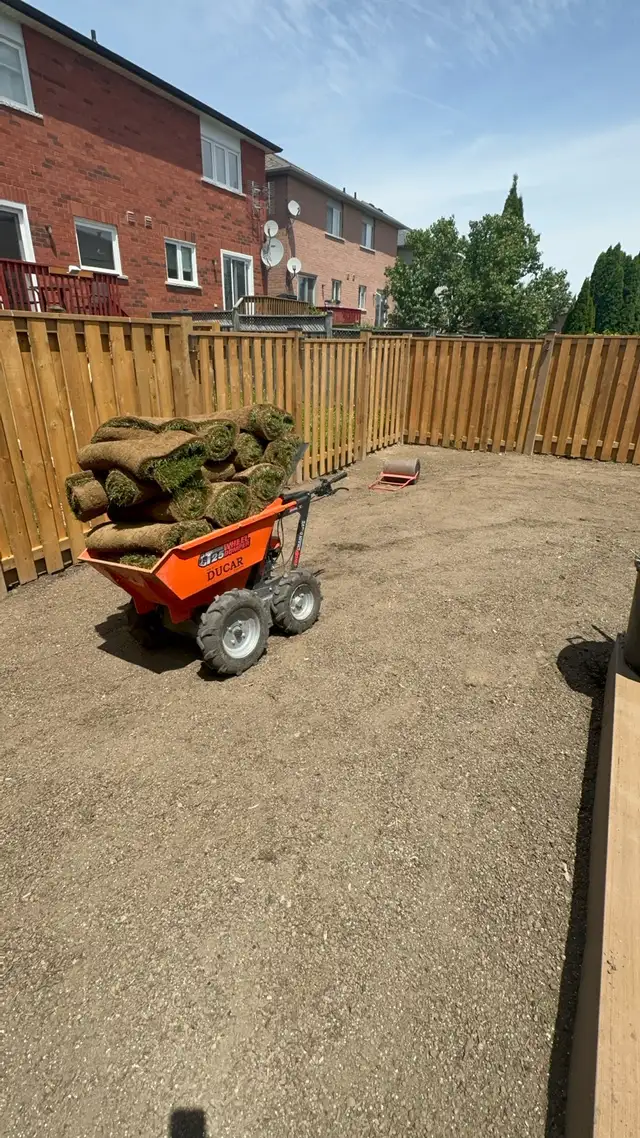 Sod Installation – Upgrade Your Lawn Today!63008305233153122