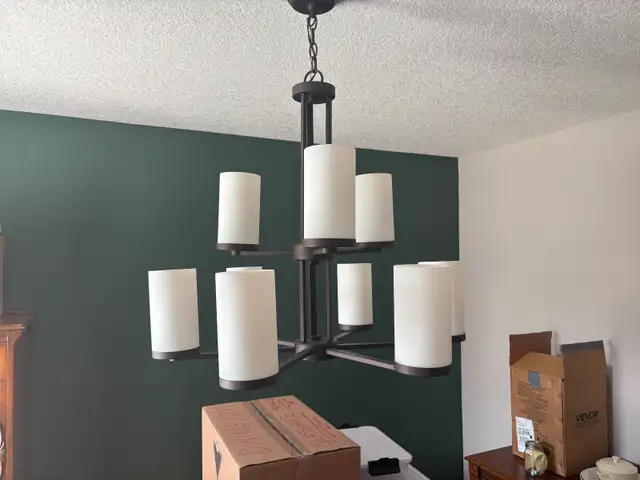 Chandelier/Light Fixture in Indoor Lighting & Fans in Kitchener / Waterloo - Image 5