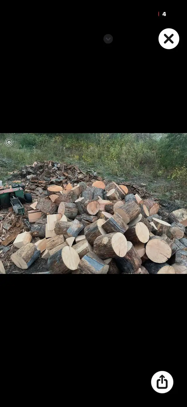 firewood 64230803406593122