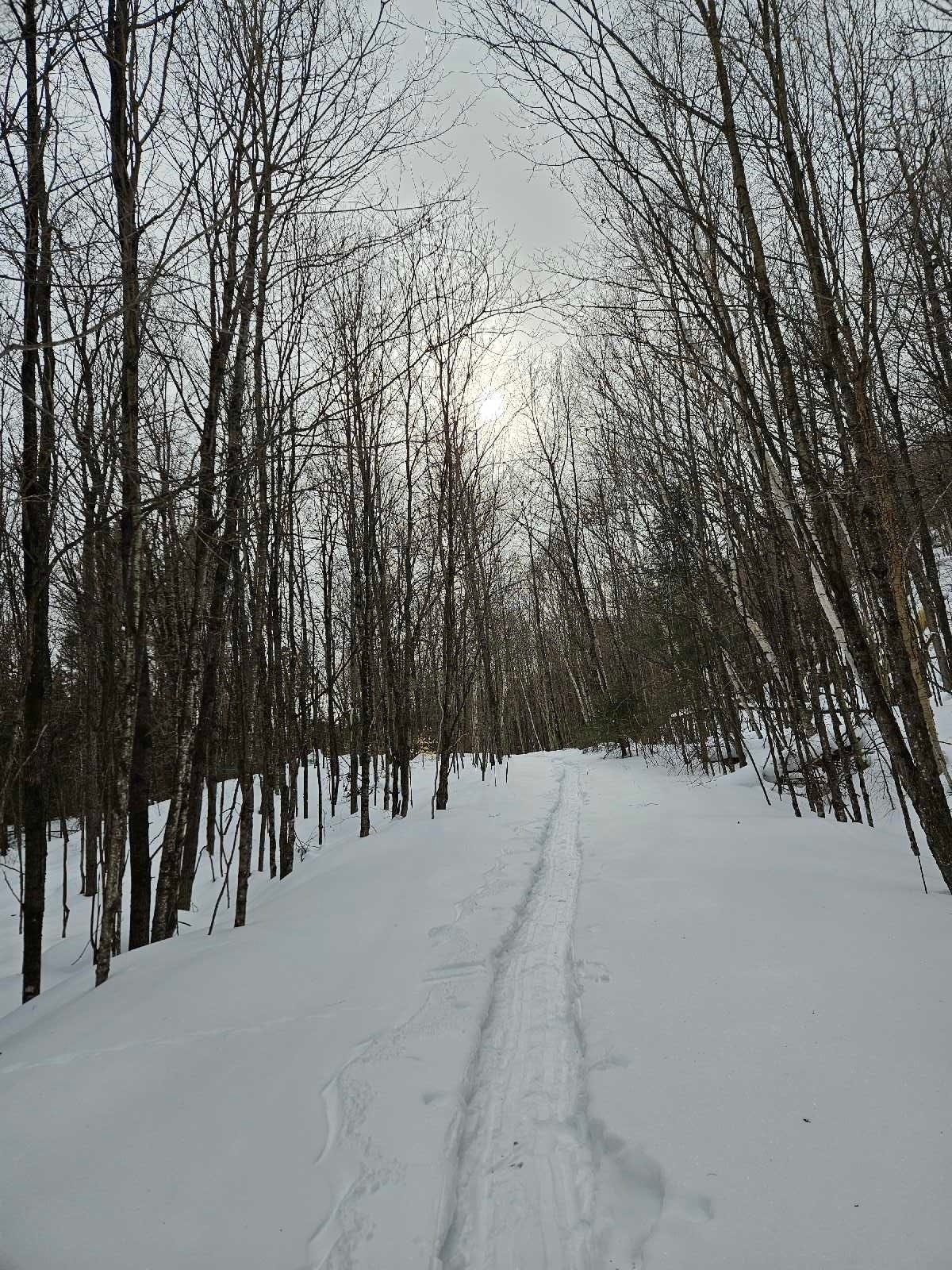 Terrain au bord du lac Bixley Laurentides — photo 3