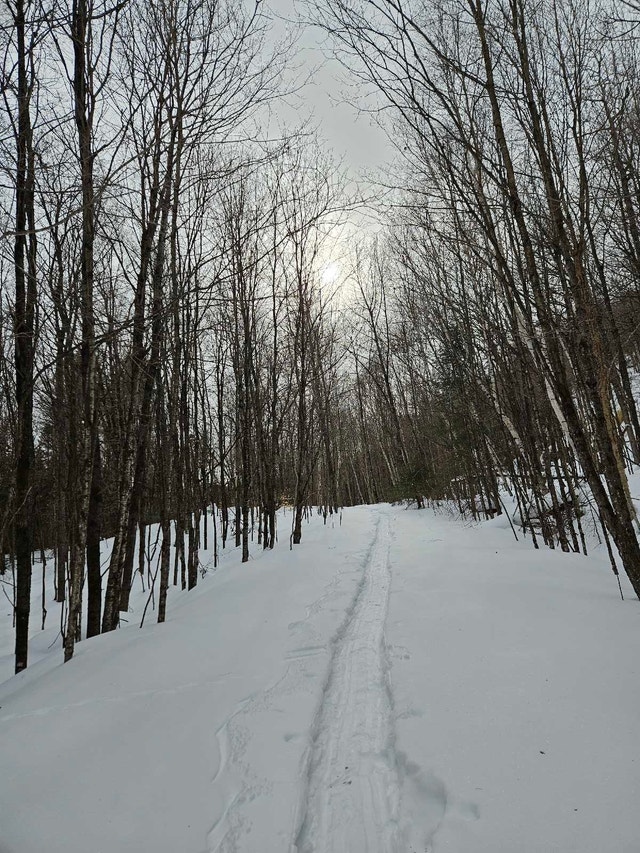 Terrain au bord du lac Bixley Laurentides — photo 3