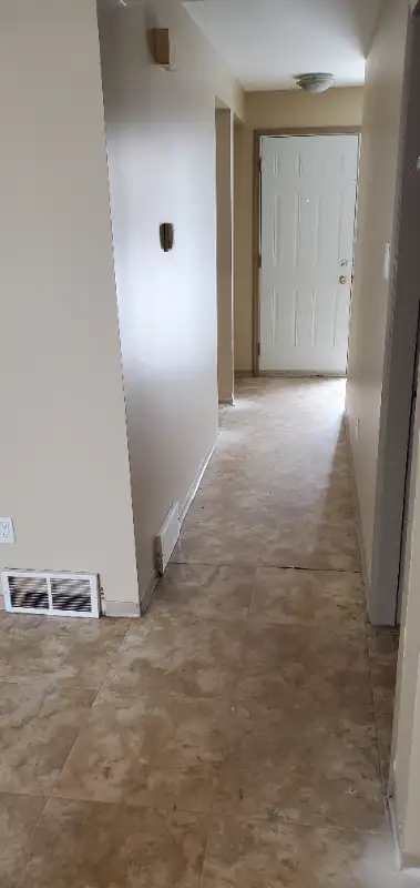 Painter628647412276501220