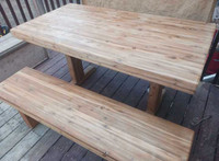Picnic Table and Bench 