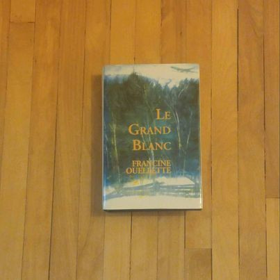 2 livres:$1.50 chacun. Par FRANCINE OUELLETTE:LE GRAND BLANC... in Fiction in Gatineau