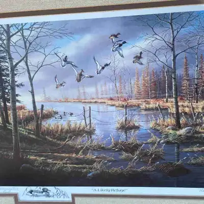 Ducks unlimited  A likely refuge, View more