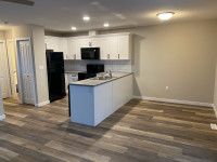 Leduc Brand New Bright 2 Bedroom for Rent 
