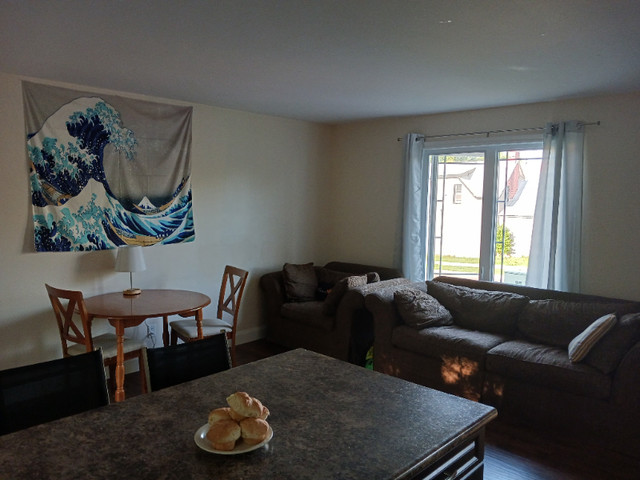 $650 Female Student  Room For Rent June 1st 2024 in Room Rentals & Roommates in Pembroke - Image 2