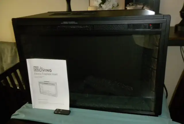 FIREPLACE INSERT