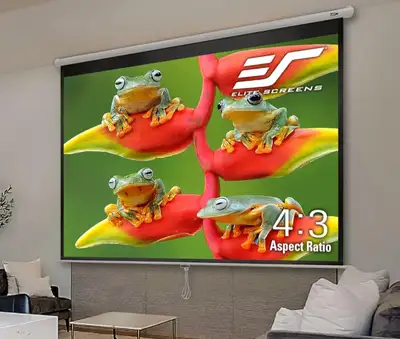 Elitescreens Manual 120-INCH Manual Pull Down Projector Screen, View more