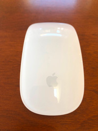 Souris Apple Magic Mouse 1