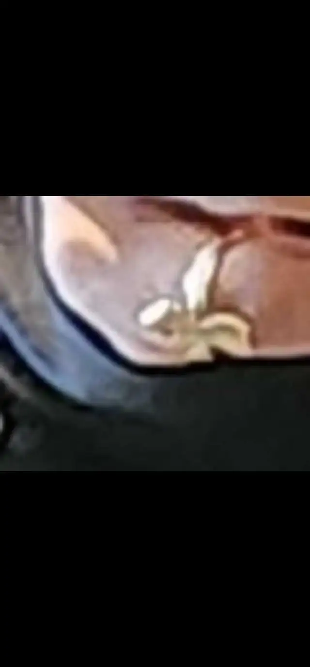 SIGNIFICANT REWARD FOR LOST GOLD RING !!64407496007426120