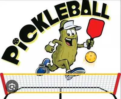 Senior pickleball games, View more