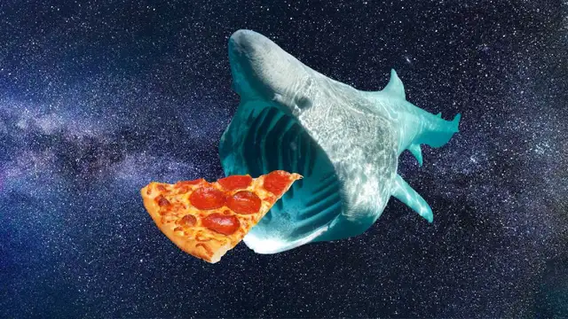 Presentations and Scripts 64840292994689120