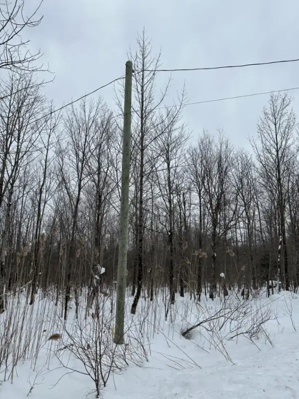 LOTS FOR SALE/TERRAINS À VENDRE - CHEMIN GILBERT, EASTMAN,  QC in Land for Sale in Sherbrooke - Image 10