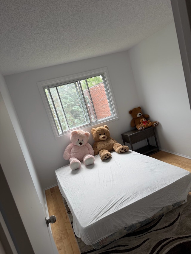 chambre à louer — photo 3