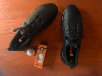 ECCO Leather MEN'S GOLF BIOM Golf SHOES $129 Size 10-10.5