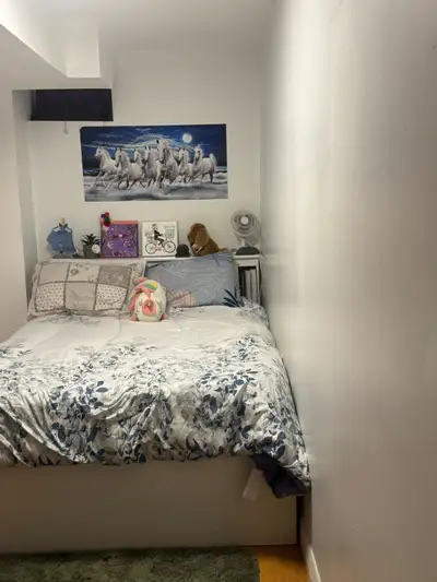 Basement room for rent, steps to Seneca@york ,9 minutes walk from finch East / Wast TTC Subway and a...