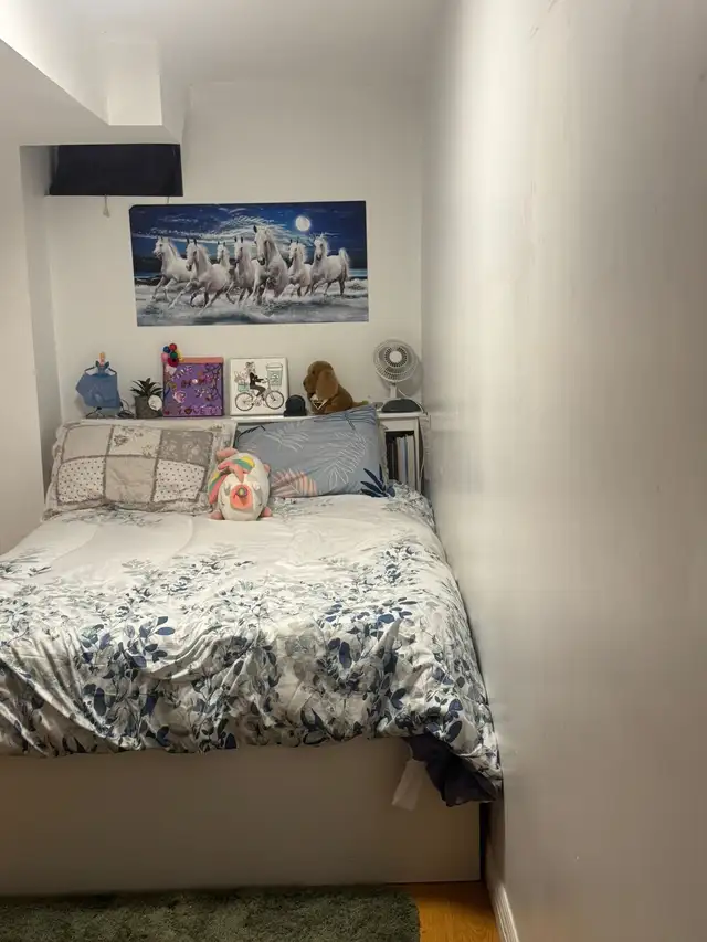 Basement room  for rent, steps to Seneca@york $800. in Room Rentals & Roommates in City of Toronto - Image 2