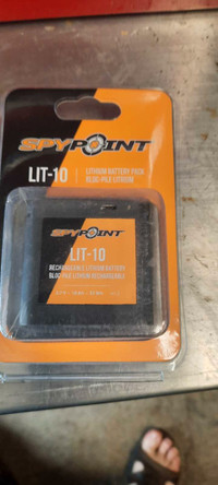 Link micro lithium battery bnib
