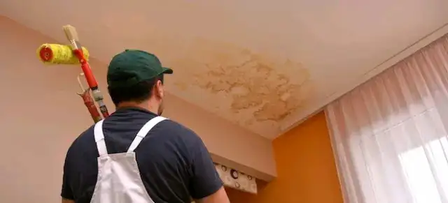 Painter, painters Painter, Reliable Painter ✅ 647797972662863250267009123