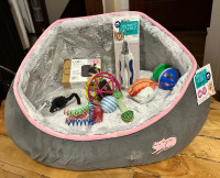 Assorted cat supplies and toys