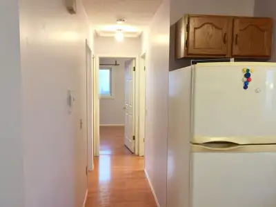 Cozy Main Floor for rent in hunterhorn crescent NE separate entrance and laundry 2 bedroom and 1 ful...