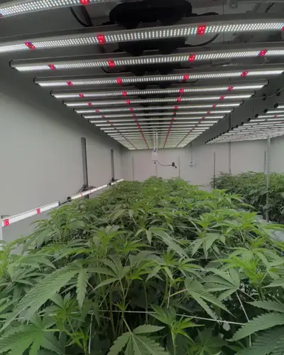 fully equipped Grow Ops for Rent
