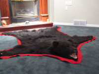 Taxidermy , wolf and Bear rug