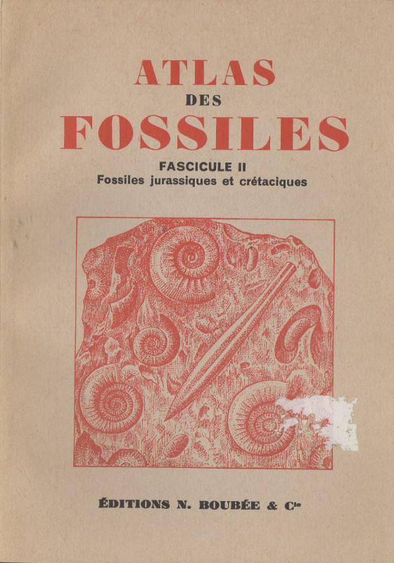 Atlas des Fossiles. 3 fascicules dans Manuels  à Longueuil/Rive Sud - Image 3