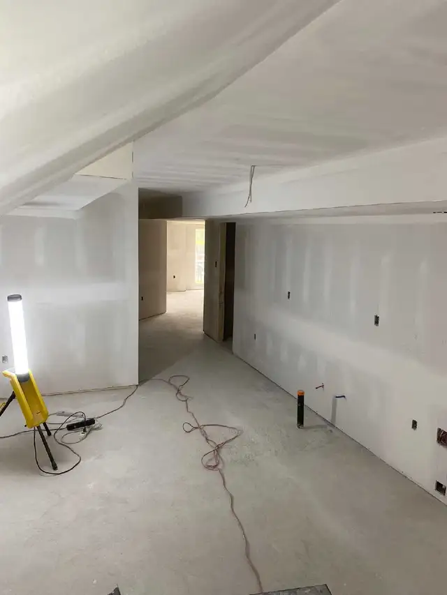 Professional Basement Renovations531194419536865286