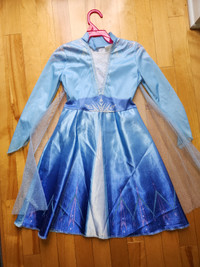 Elsa dress / costume