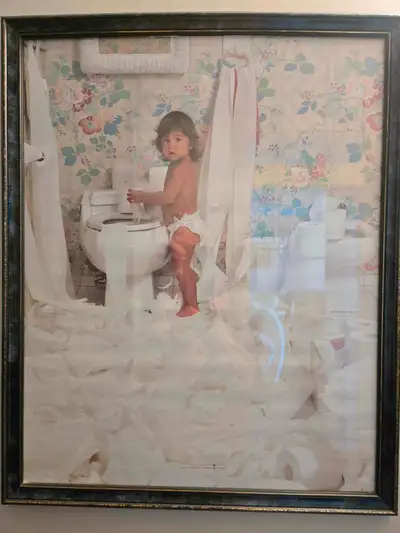 ****REDUCED PRICE**** IN EXCELLENT CONDITION GREAT PICTURE FOR A WASHROOM ASKING $10 NS/NP HOME IN C...