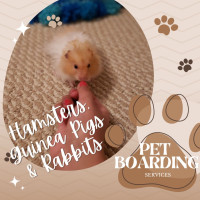 Hamster, Guinea Pigs, & Bunny Pet Boarding Service