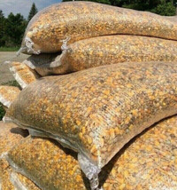 PIGEON FEED SEED $45 Pickering