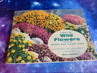 Brooke Bond Wild Flowers Series 1. 1955 - 47 Of 50 Tea Cards