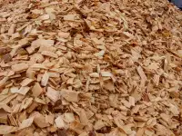 Wood chips/ mulch